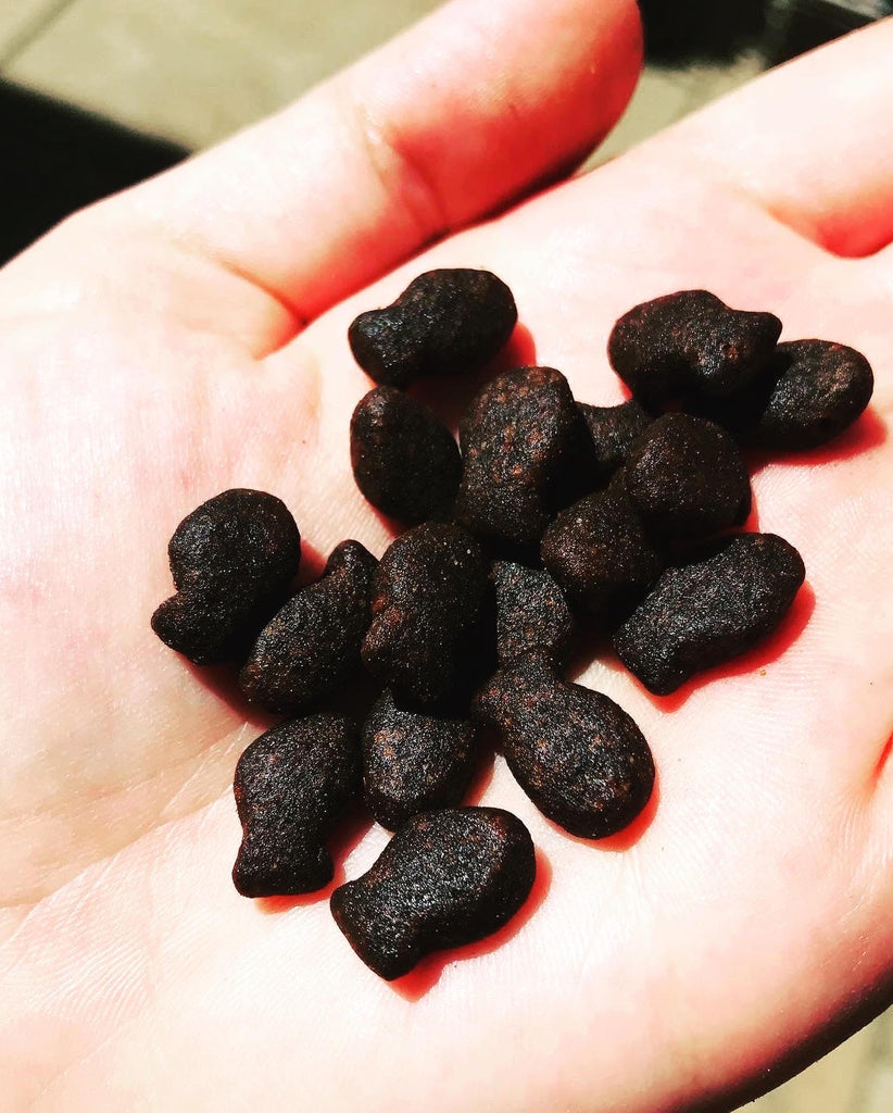 Grain Free Dog Treats